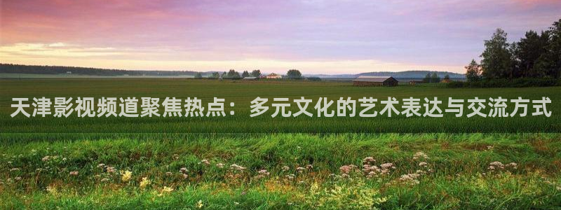 《四库影视》电视剧在线观看-好看影院：天津影视频道聚焦热点：多元文化的艺术表达与交流方式