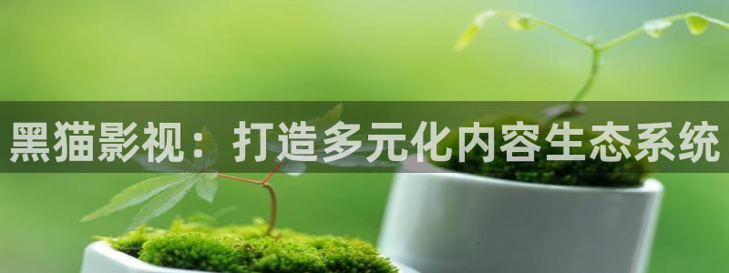 好看影院：黑猫影视：打造多元化内容生态系统