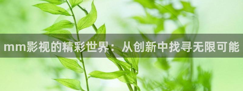 好好看影院：mm影视的精彩世界：从创新中找寻无限可能