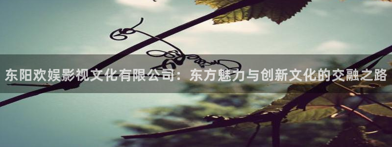 好看影院在线观看电影：东阳欢娱影视文化有限公司：东方魅力与创新文化的交融之路