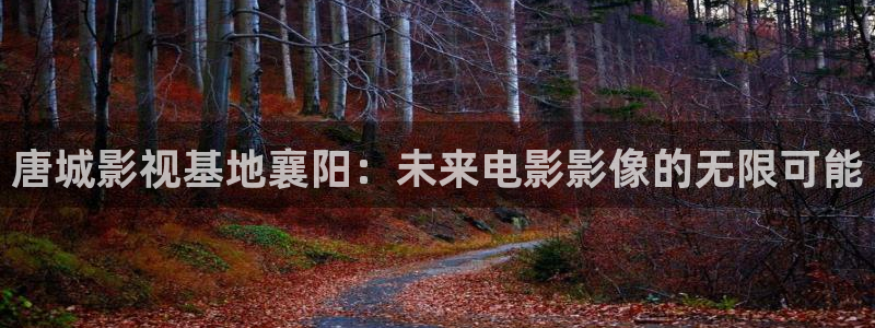 好看影院：唐城影视基地襄阳：未来电影影像的无限可能
